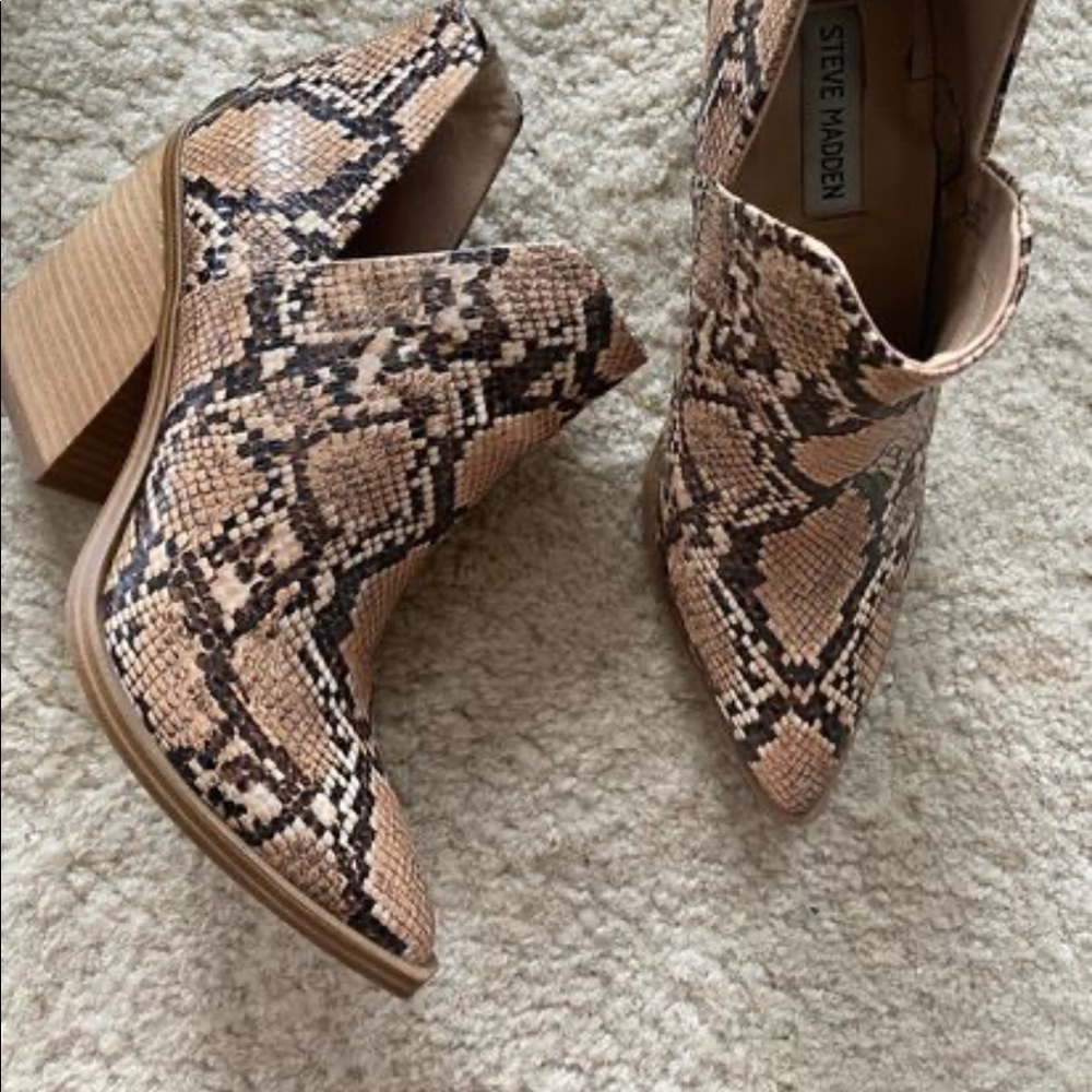 Steve Madden snake booties
